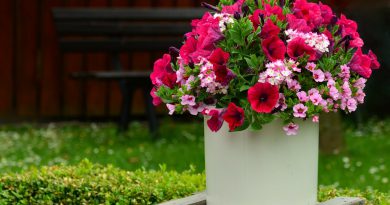 Aprile, come prendersi cura del giardino