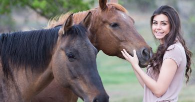 Escursioni a cavallo 2