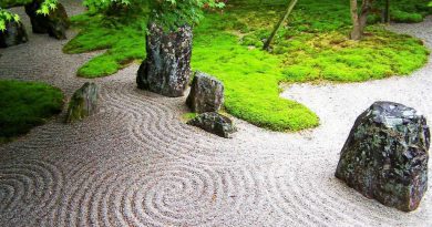 Come utilizzare la ghiaia in giardino cop