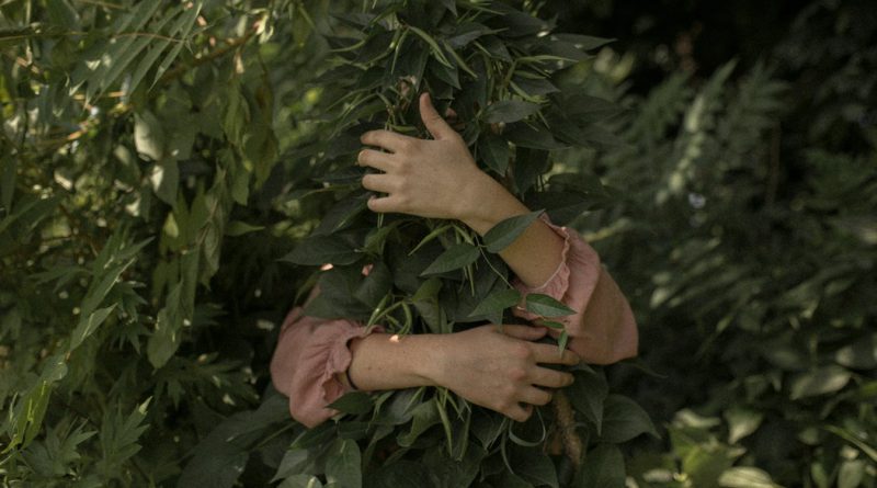 come proteggere le piante dal freddo